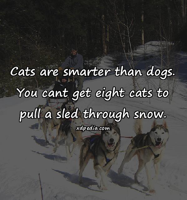 Cats are smarter than dogs. You cant get eight cats to pull