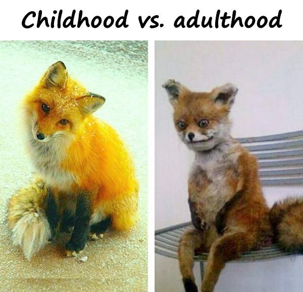 Childhood vs. adulthood