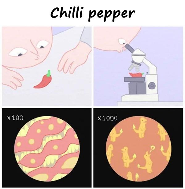 Chilli pepper