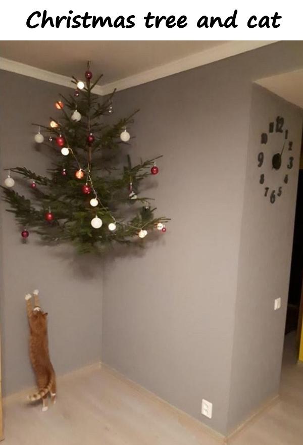 Christmas tree and cat