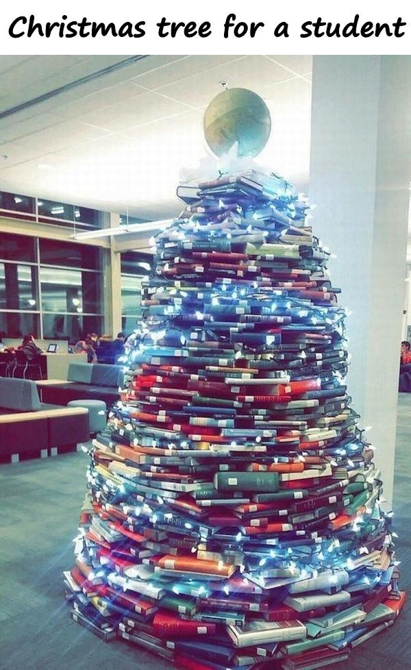 Christmas tree for a student