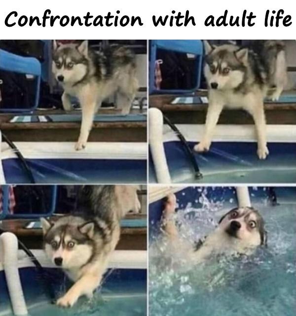 Confrontation with adult life