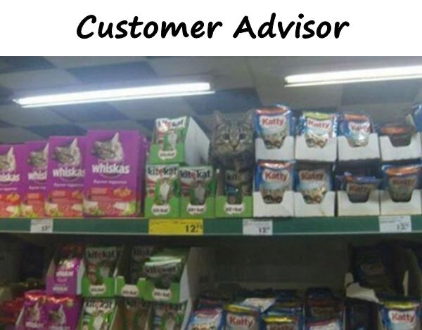 Customer Advisor