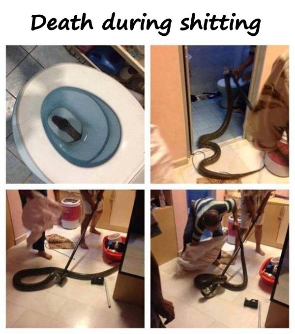 Death during shitting