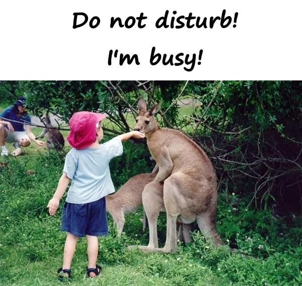 Do not disturb! I'm busy