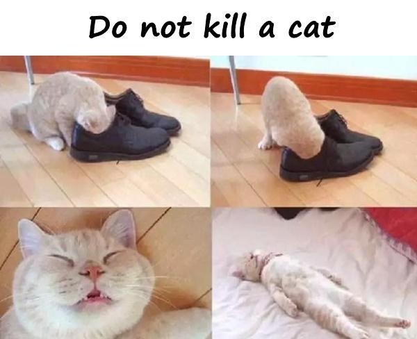 Do not kill a cat