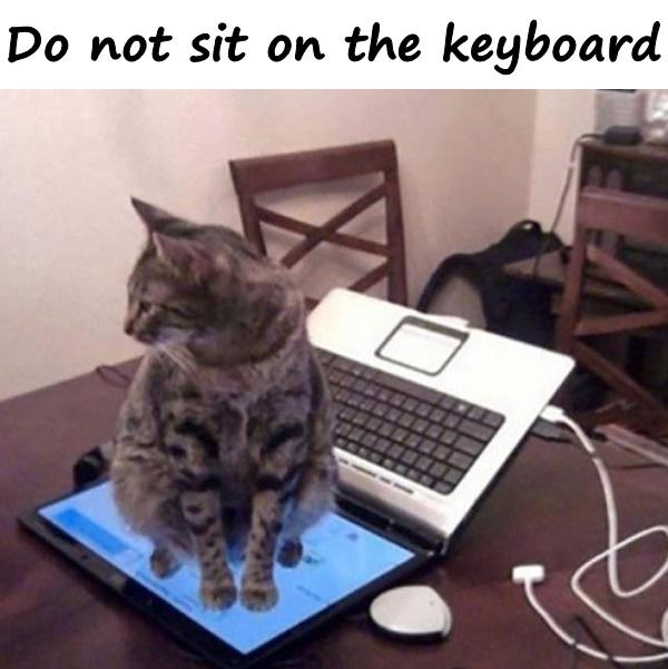 Do not sit on the keyboard