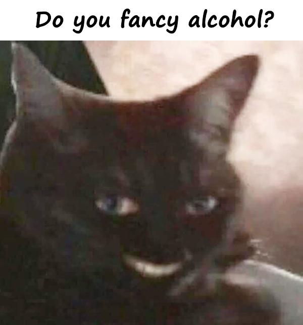 Do you fancy alcohol