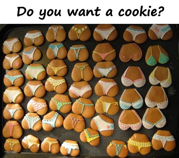 Do you want a cookie