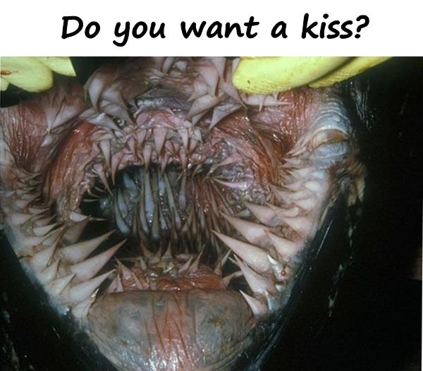 Do you want a kiss