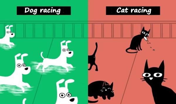 Dog racing vs. Cat racing