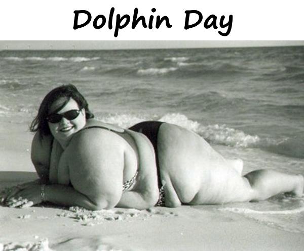 Dolphin Day