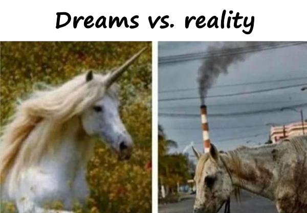 Dreams vs. reality