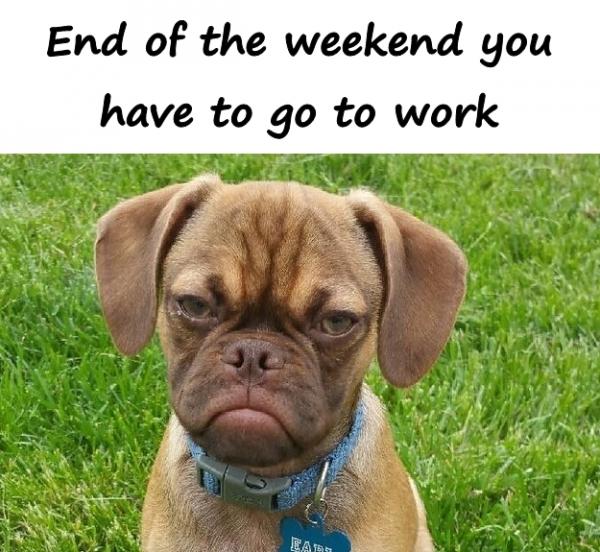 End of the weekend you have to go to work