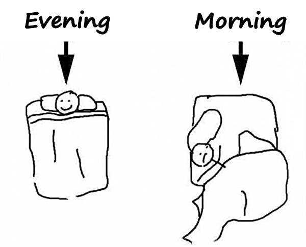 Evening vs. Morning