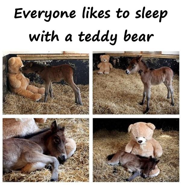 Everyone likes to sleep with a teddy bear