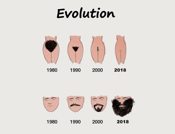 Evolution