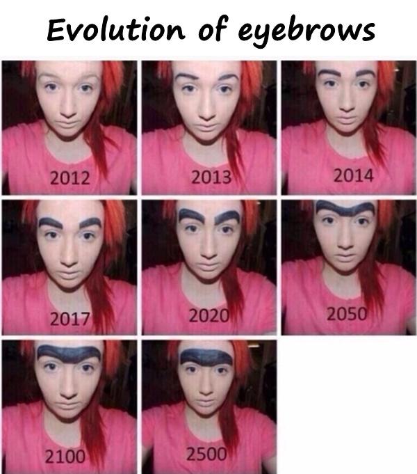 Evolution of eyebrows