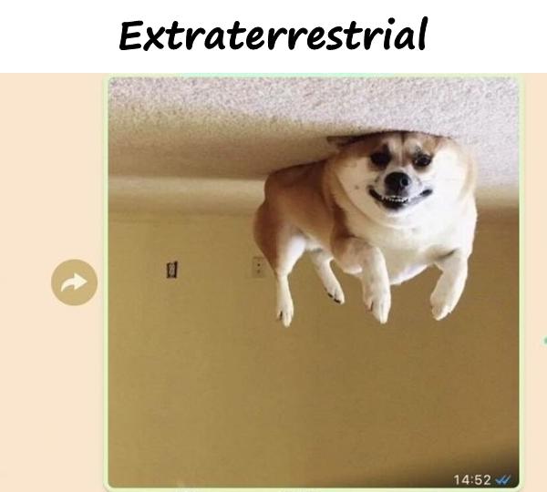 Extraterrestrial