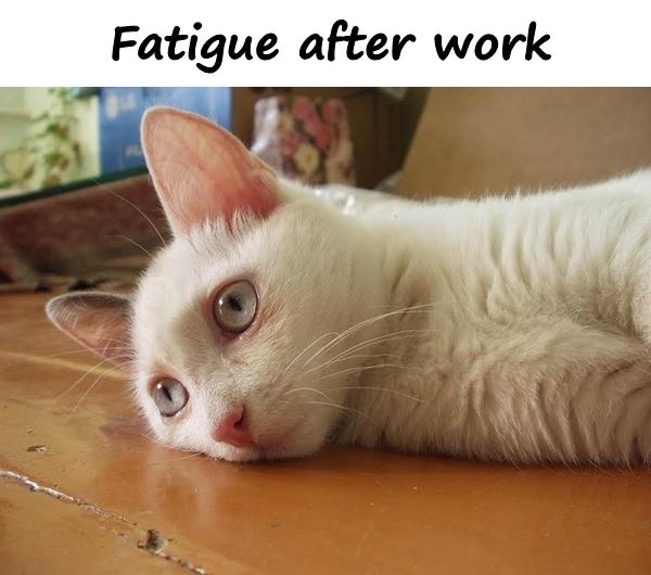 Fatigue after work