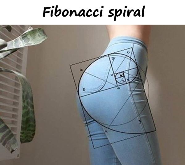 Fibonacci spiral