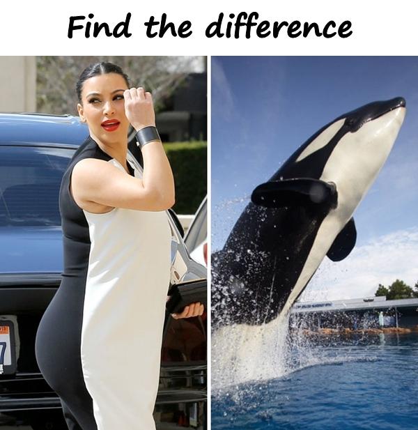 Find the difference