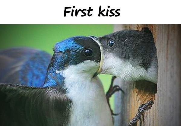 First kiss