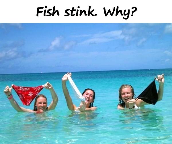 Fish stink. Why