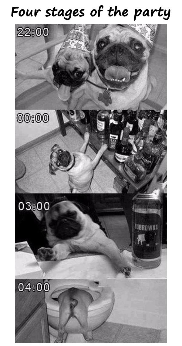 Four stages of the party