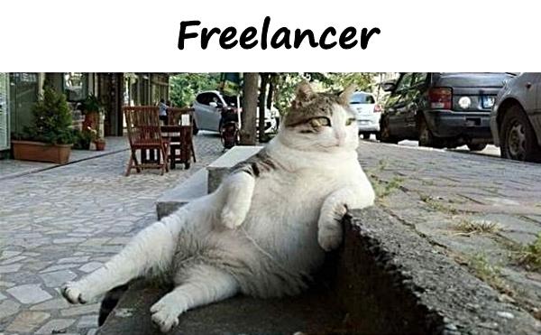 Freelancer