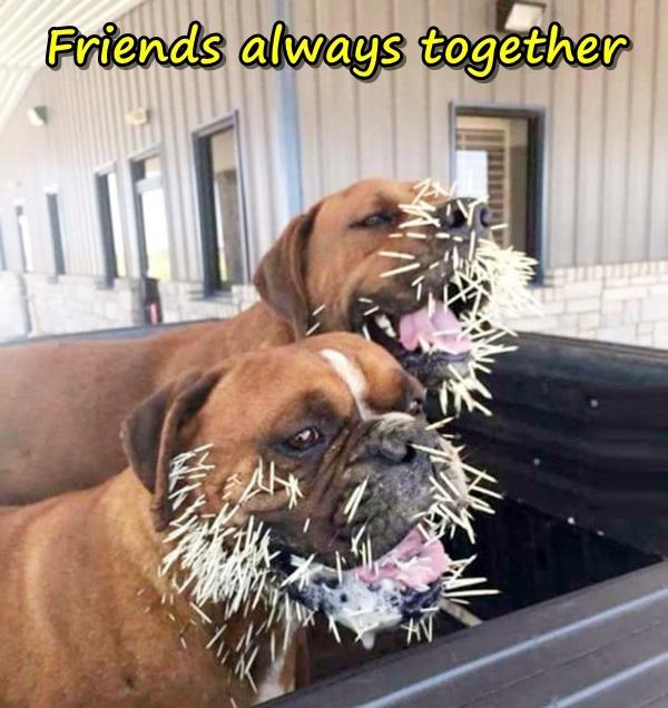 Friends always together