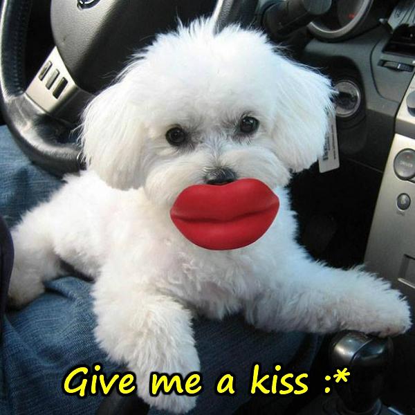 Give me a kiss