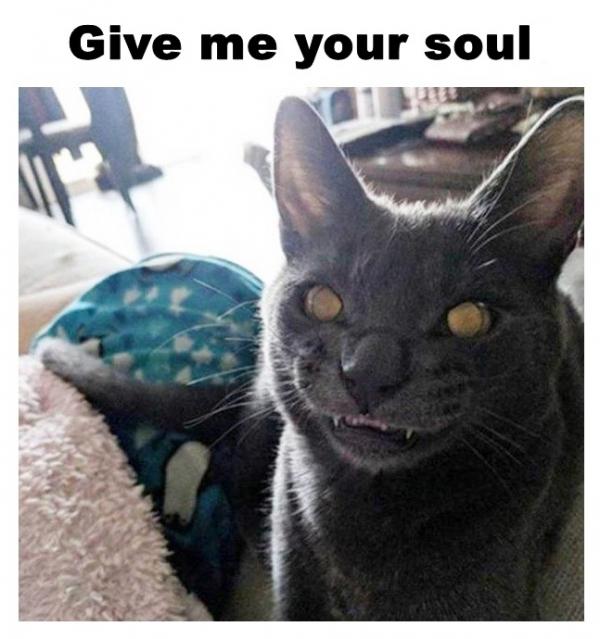 Give me your soul