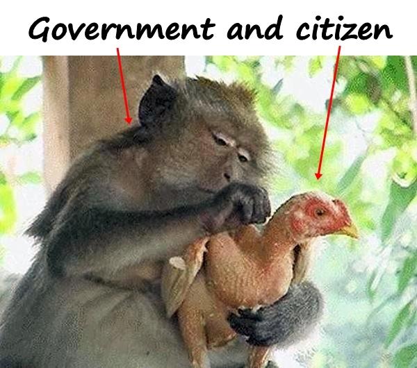 Government and citizen