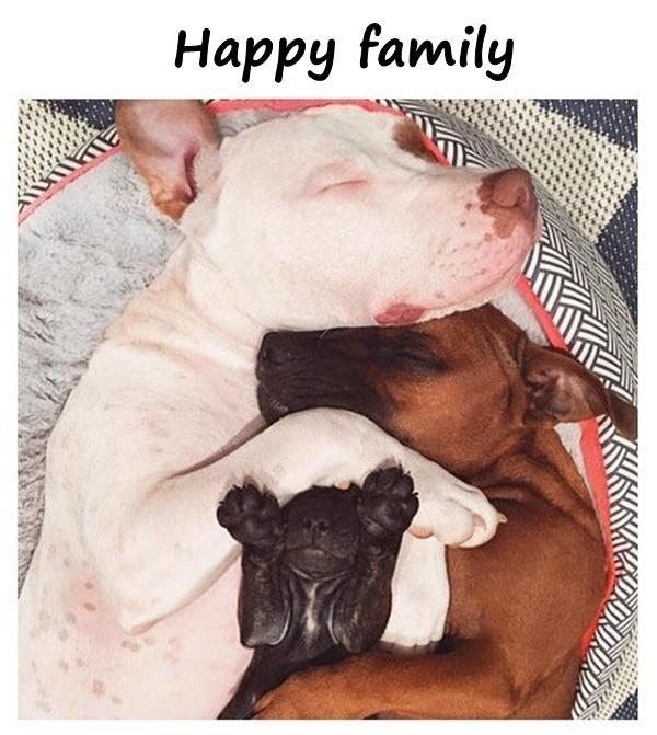 Happy family