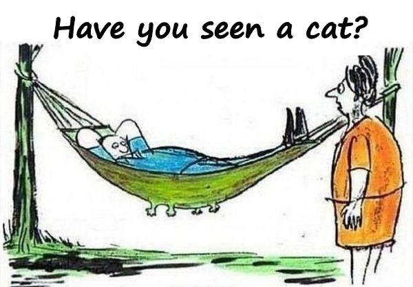 Have you seen a cat