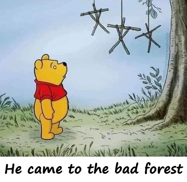 He came to the bad forest