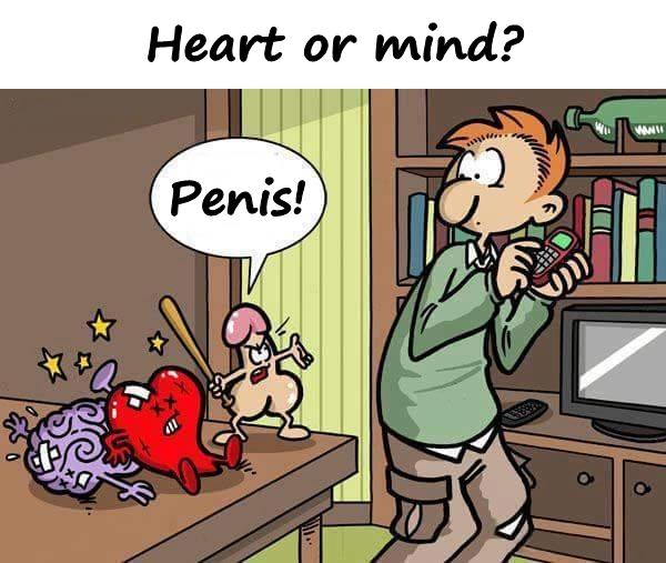 Heart or mind? Penis