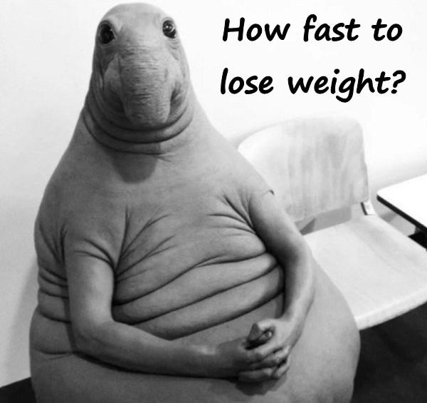 How fast to lose weight