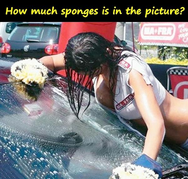 How much sponges is in the picture