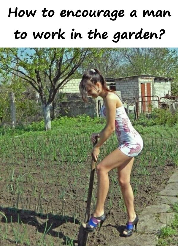 How to encourage a man to work in the garden