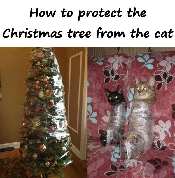 How to protect the Christmas tree from the cat