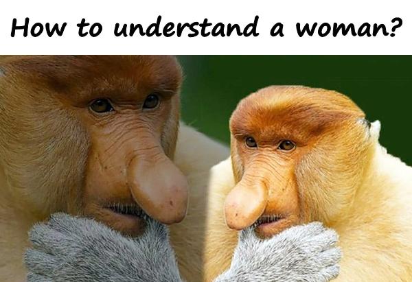 How to understand a woman