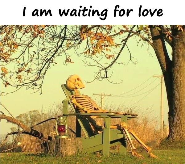 I am waiting for love