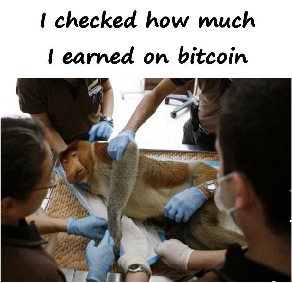 I checked how much I earned on bitcoin