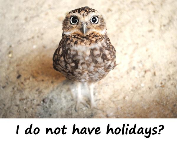 I do not have holidays