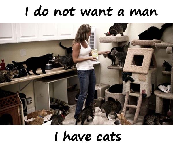 I do not want a man. I have cats