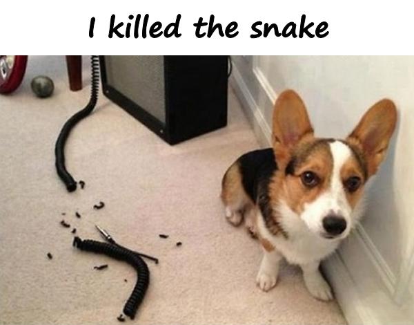 I killed the snake