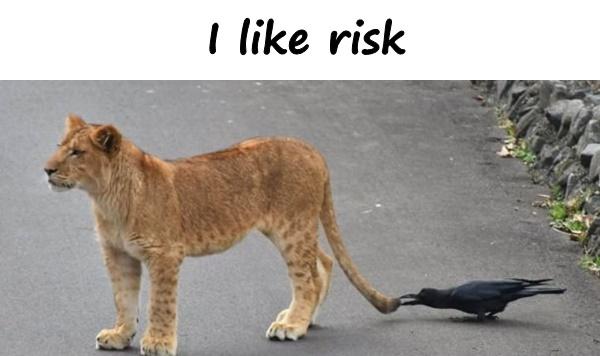 I like risk