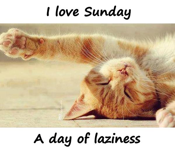 I love Sunday. A day of laziness